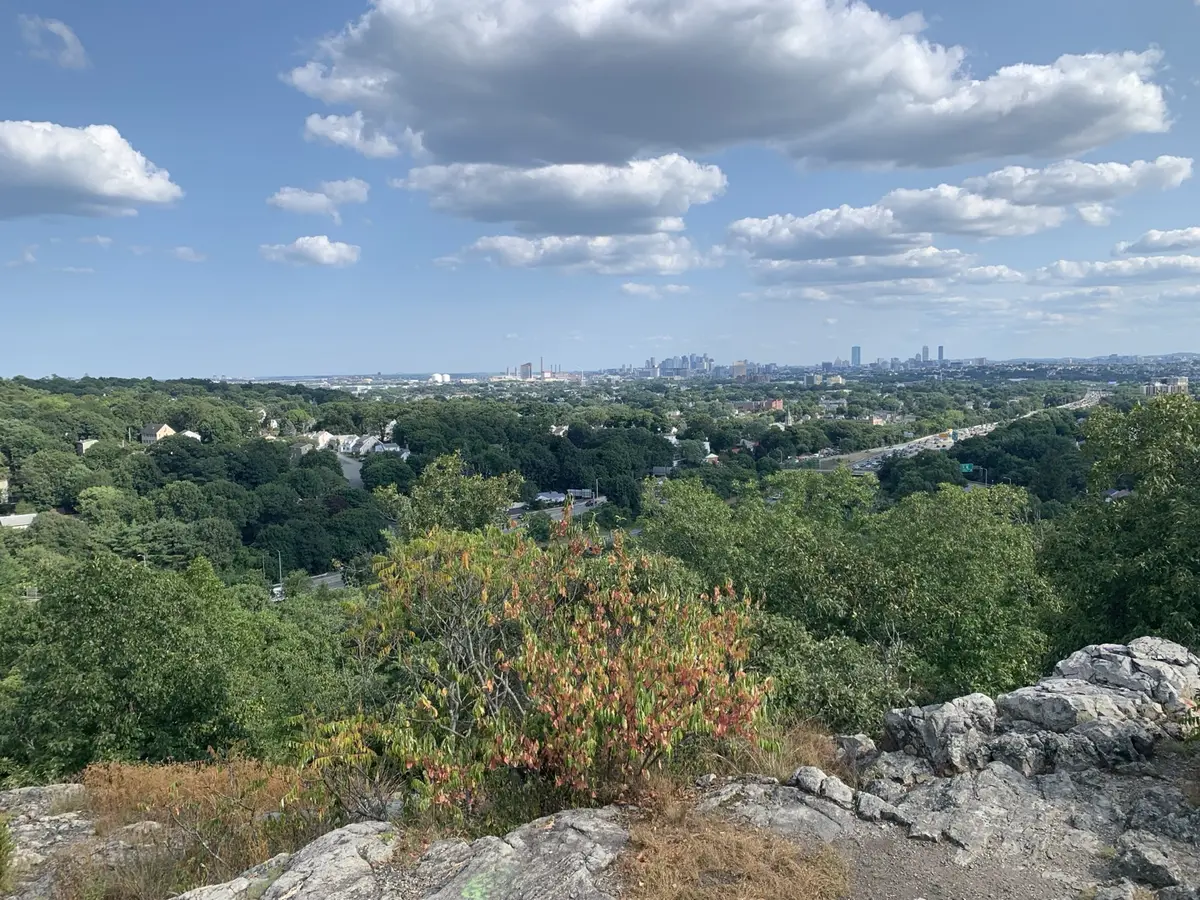 City skyline viewed from a rocky tree-lined overlook beneath a blue sky