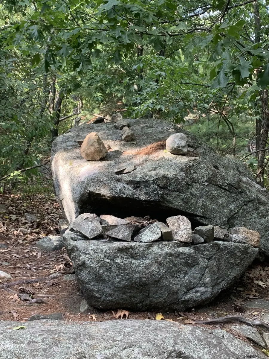 Face-like rock formation in a wooded area