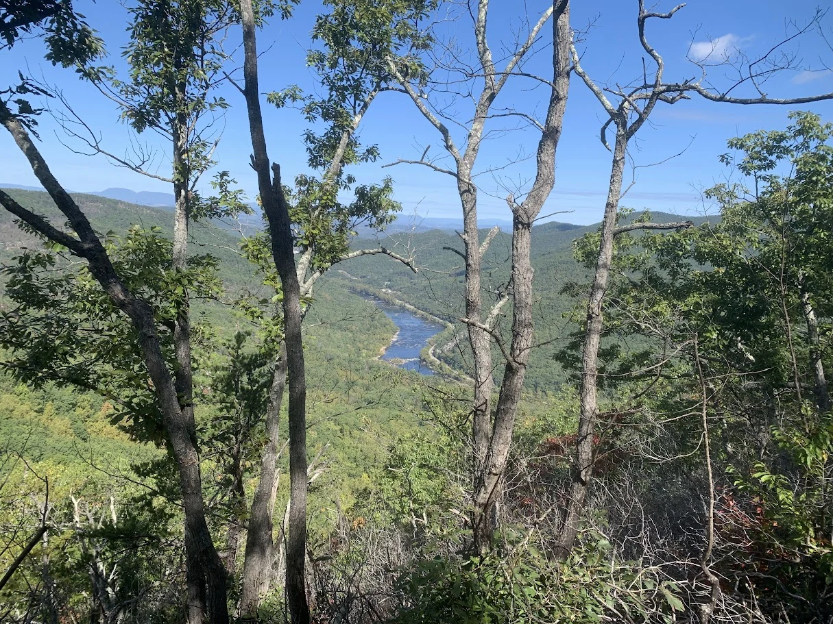 River winding through a forested mountain valley viewed between trees