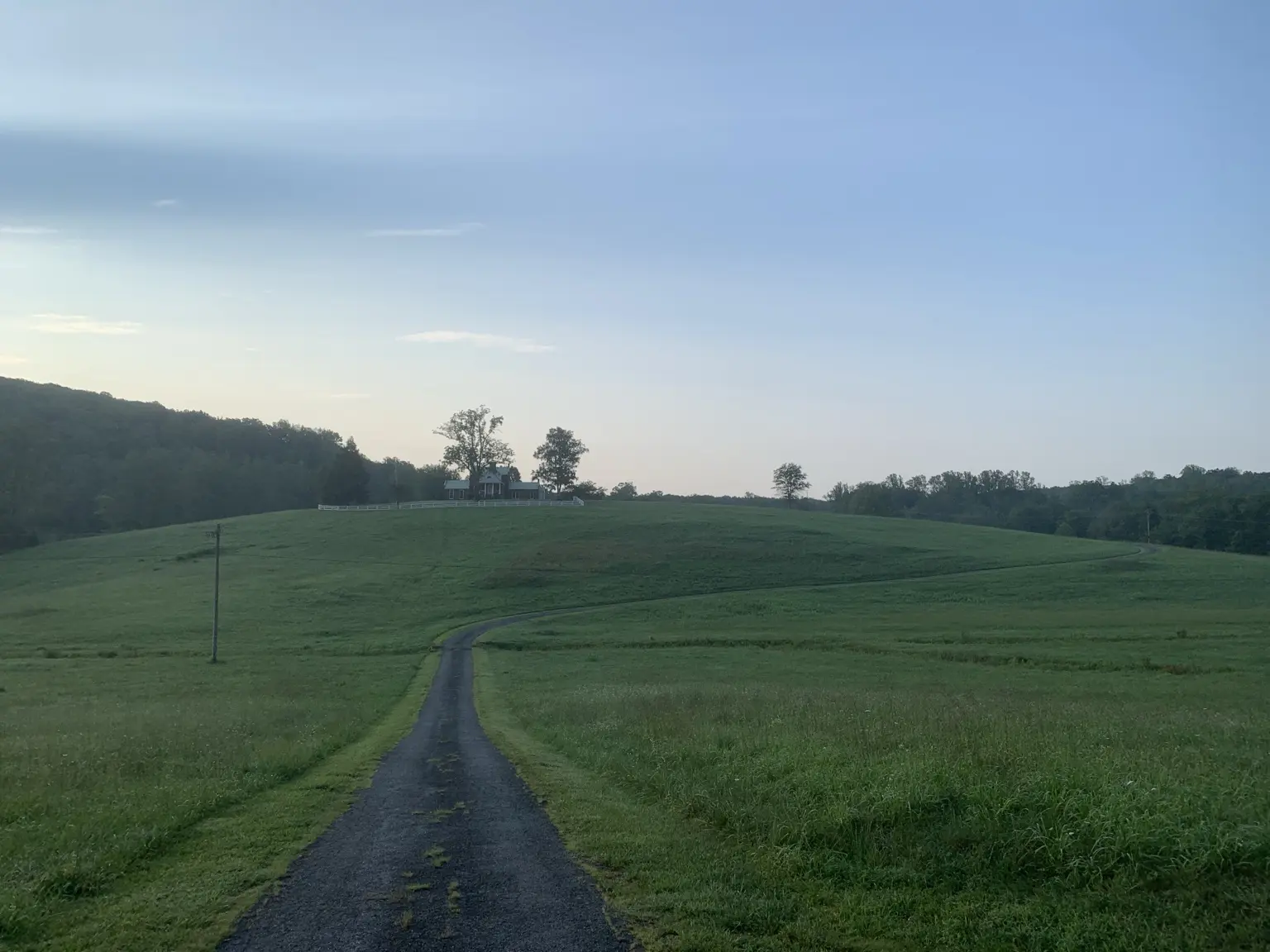 Country road through green fields