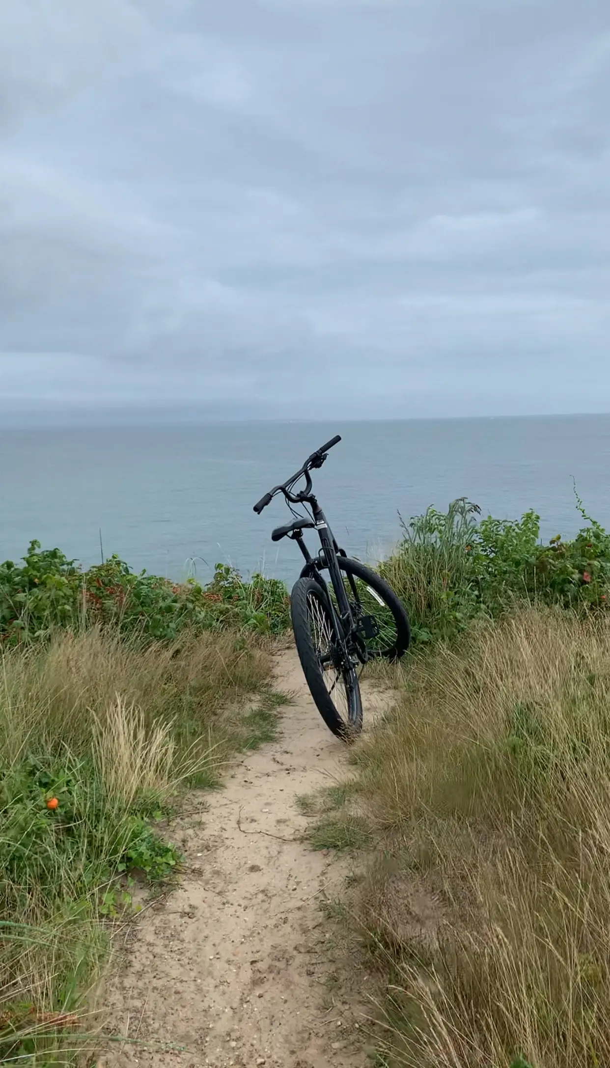 Bicycle on a coastal trail